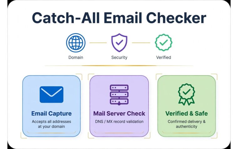 Catch-all email checker infographic with domain, shield and checkmark icons